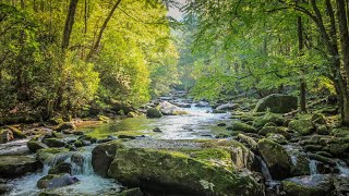 Vízcsobogás • a folyóvíz hangja • Pihentető vízhangok a koncentrációhoz és a meditációhoz