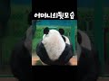 어머니 판다의 뒷모습은 아름답다 다판다 panda shorts