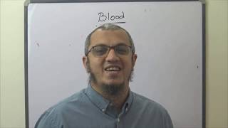 MRCP - BLOOD - (2) - Intro - Red  Blood Cells Normal Values - Dr. Mohamed Osama