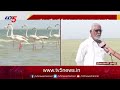 పర్యాటకులను ఆకట్టుకుంటున్న శ్రీరాంసాగర్ sriram sagar project telangana tv5 news