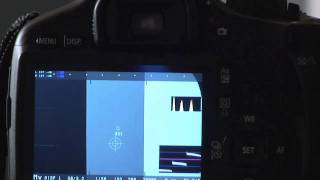 Canon T2i 550D Magic Lantern Meters Tutorial