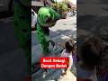 Badut Kodok Yang Lucu #badut #badutlucu #fypshort #viralshort #viralvideo #fypvideo #funny #fyp