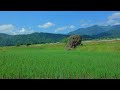 【BGM】日本の田舎とのんのんびより - The Japanese countryside and Non Non Biyori