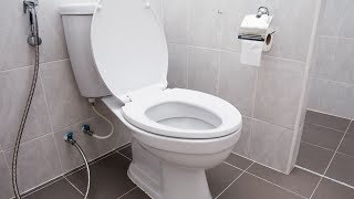 How To Fix a Leaking Toilet
