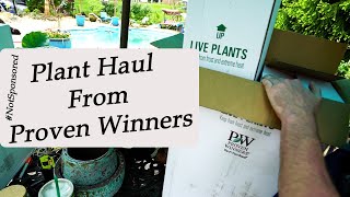 5 Improved Classic Plants \u0026 Some That are Just Pretty || Plant Haul From Proven Winners