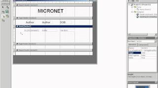 vb datareport