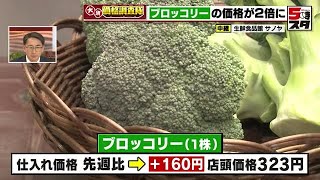 ブロッコリーの価格が2倍に　4月の給食開始に伴う需要増など 【価格調査】(2023年4月6日)