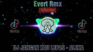 DJ PELUKLAH DIRIKU DAN JANGAN KAU LEPAS - Alexa | Evert Rmx