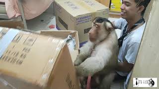 Jk helping Syafii and Ivon Packing Stuff