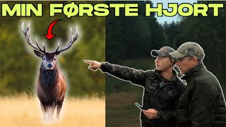 Min første kronhjort – på jagt efter skovens konge!