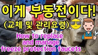 (영상 29) 이게 부동전이다!(교체 및 관리요령)/How to replace and manage freeze protection faucets