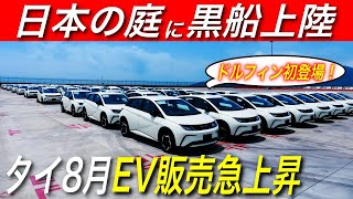 【タイEVシフト】ついに黒船ドルフィンが本格上陸〜日本メーカーの庭タイ市場でEV販売急進【2023年8月最新】