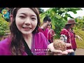 泰國·清邁chiang mai｜和大象一起洗泥巴浴🐘友善大象保育體驗｜ep.01 kerchor大象生態保育公園 kerchor eco elephant park