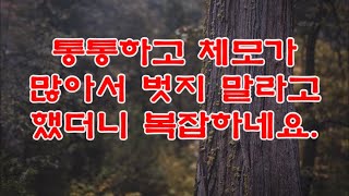 실화사연  이화여대 출신 동서들이 시골 출신인 날 보고 '어디 전문대라도 나왔어 ㅋ' 하며 무시하자 내 진짜 정체를 밝혔더니 게거품 무는데  라디오사연  썰사연 사이다사연 감동