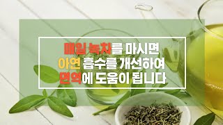 매일 현미녹차를 마시면 면역에도움이됩니다