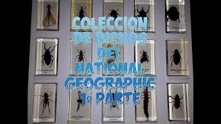 Mi coleccion de bichos del National Geographic