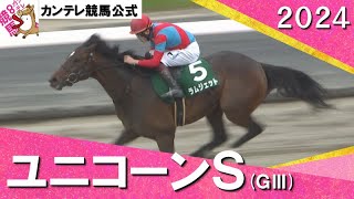 2024年 ユニコーンステークス(ＧⅢ)ラムジェット　実況：川島壮雄【カンテレ公式】