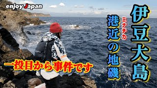 【伊豆大島 釣り旅#3】レンタカー無し、宿無し…！絶望的な状況で辿り着いた岡田港からタクシーで７分の地磯でメジナを狙ってみた話