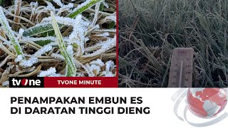 Suhu Sampai Minus 3,5 Derajat Celcius, Embun Es Muncul di Dieng | tvOne Minute