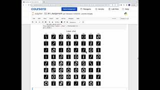 Machine Learning Coursera Practice Lab | Neural Networks for Binary Classification