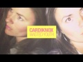 cardiknox wasted youth