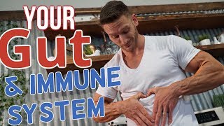 Probiotics | Boost Immunity | Prevent Sickness– Thomas DeLauer