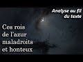 BAUDELAIRE 🔎 Les Fleurs du Mal - L'Albatros (Analyse au fil du texte du poème)