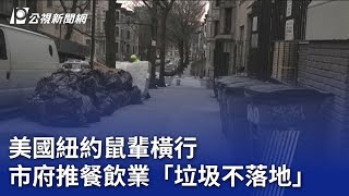 美國紐約鼠輩橫行 市府推餐飲業「垃圾不落地」｜2024401 公視新聞全球話