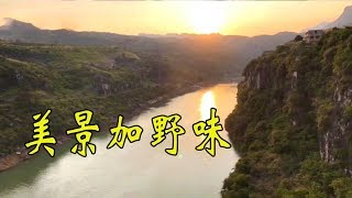 大峡谷里吃野生鱼，88元一斤买4斤。贵州当地做法，味道确实不错！【唐哥美食】