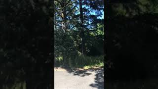 Video of Cape Disappointment State Park, WA from allison W.