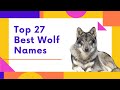 Top 27 Best Wolf Names - Powerful, Male, Female And More