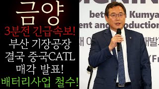 🔵[금양] 긴급! 기장공장 결국 중국CATL 매각발표! 배터리사업 철수! 난리낫네요! 박순혁 결사반대 눈물의 호소!  절대로 흔들리지 말고 반드시 이렇게 대응하세요! #금양목표가