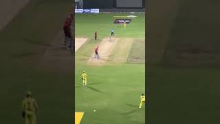 Video shows Dhoni anticipating, practising run-out seconds before it  in CSK vs SRH match #viral