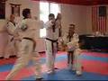 Master Bruno Souza Breaks Bat - Franklin Tae Kwon-Do (Mass)