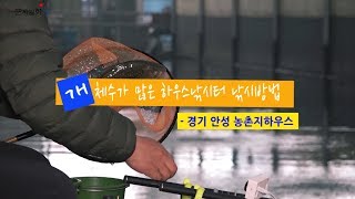 [하우스] 34.개체수가 많은 하우스낚시터 낚시방법 - 경기 안성 농촌지하우스(2018.11.6)