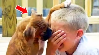 When a Boy Visits An Animal Shelter to Adopt a Dog, He Starts Crying. What Happens Next is Shocking!
