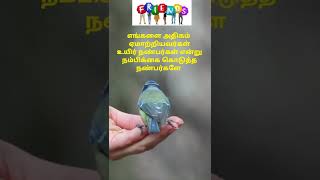 உயிர் நண்பர்களே ஏமாற்றியது அதிகம் #shorts