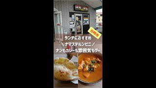 ナマステルンビニ【カレー＆ナン】光明池周辺でインド料理なら（naancurry）#shorts