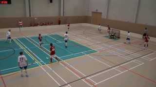 NST D1 Valkoiset vs Voima Blues 8.2.2014