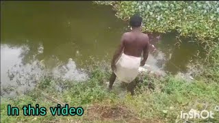 ஆத்துல மீன் வாங்கப்போறோம் #buy fish# video