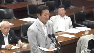 2013/05/31 衆議院 環境委員会 日本維新の会 阪口直人の質疑