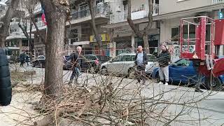 Θεσσαλονίκη: Εξαγριωμένοι πολίτες διαμαρτύρονται για τις κοπές δέντρων