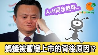 螞蟻被暫緩上市的背後原因!? | 螞蟻集團 | Tasty Money