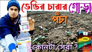 ভেন্ডির চারার গোড়া পঁচা রোগ ও সমাধান||Bhendir gora pocha|ভেন্ডির চারা শুকিয়ে মরছে?|Okra farming