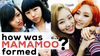 How MAMAMOO was Formed | Supposed to be a 5 member group?! (마마무)