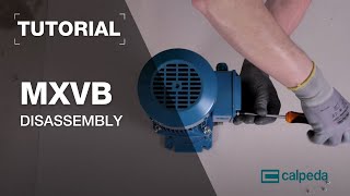 How to disassemble a Multi-stage MXVB pump in 27 steps