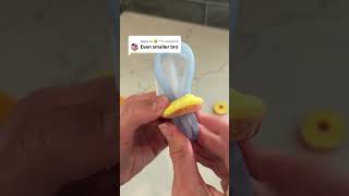 Will It Fit Menstrual Disc Peach Ring