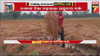 Odisha Weather Special | ଚାଷୀଙ୍କୁ କନ୍ଦାଇଲା ଅଦିନିଆ ବର୍ଷା | PrameyaNews7