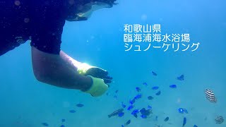 和歌山県 臨海浦海水浴場 シュノーケリング こころ１３歳20200812