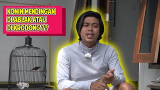 Apakah konin wajib krodong ?? Ini jawabannya